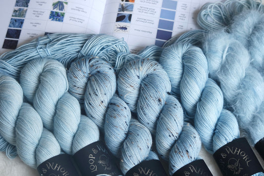 Azure Blue Butterfly