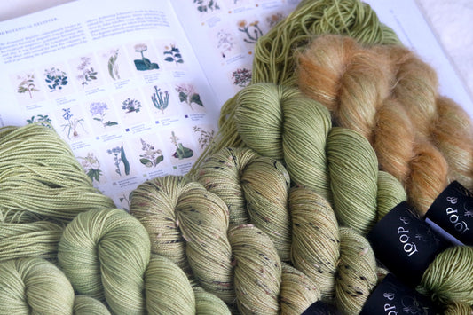 Long-Horned Grasshopper