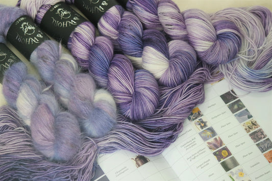 Violet Dancer Dragonfly